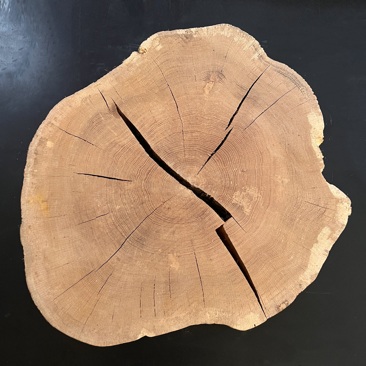 Live Edge White Oak Cookie