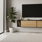 Modern living room with a TV mounted on the wall, wooden cabinet, and a plant.